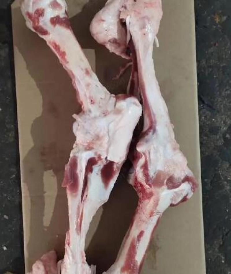 山东后腿骨品质保证产地直发可视频看货欢迎咨询