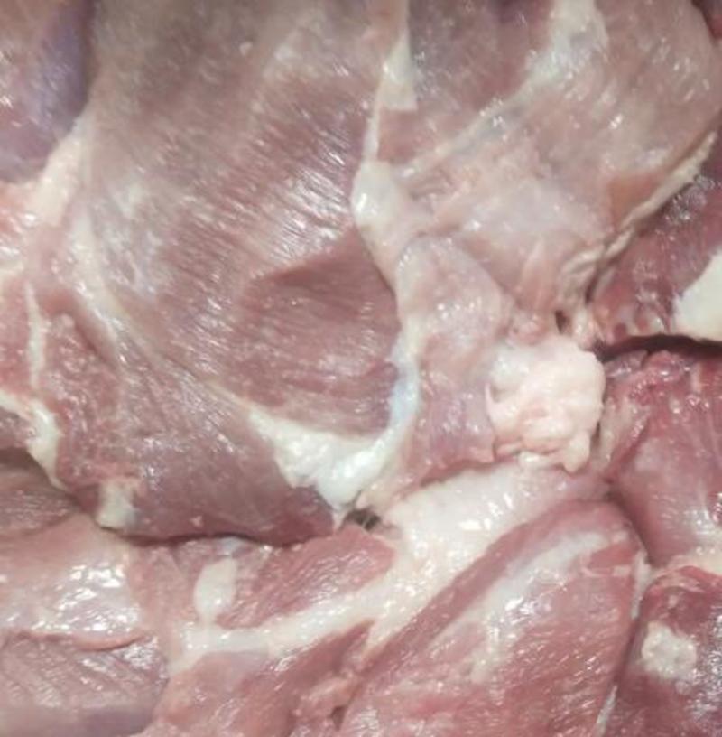 山东精修4号肉，后腿肉品质保证产地直发可视频看货欢迎咨询