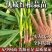 蒜苗山东红根蒜苗大量上市保质保量合作共赢诚信做事产地直发