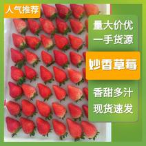 【妙香草莓】品类齐全实力代办品质保证对接水果罐头加工厂