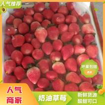 精品奶油草莓品质好糖分高对接商超电商团购批发市场一件