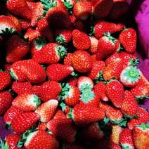 【热卖】天仙醉草莓安徽产地直供品质保证货源充足全国发
