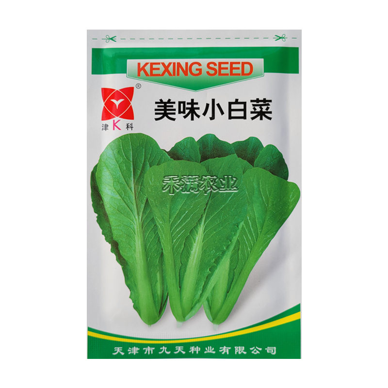 奶油小白菜种子小青菜种籽快菜种子阳台庭院大田四季蔬菜种孑
