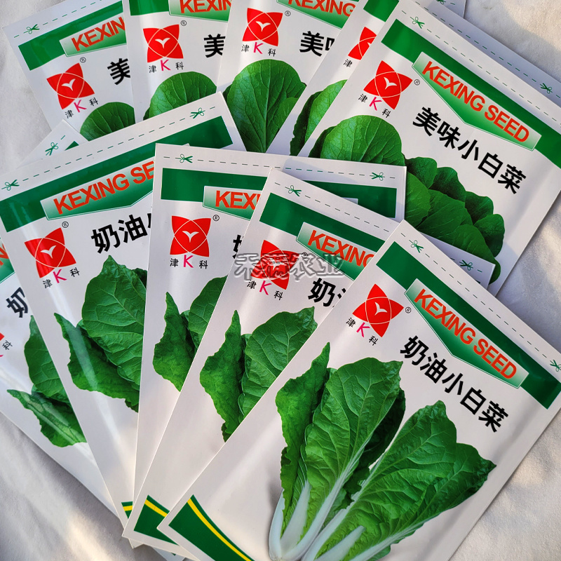 奶油小白菜种子小青菜种籽快菜种子阳台庭院大田四季蔬菜种孑