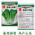奶油小白菜种子小青菜种籽快菜种子阳台庭院大田四季蔬菜种孑