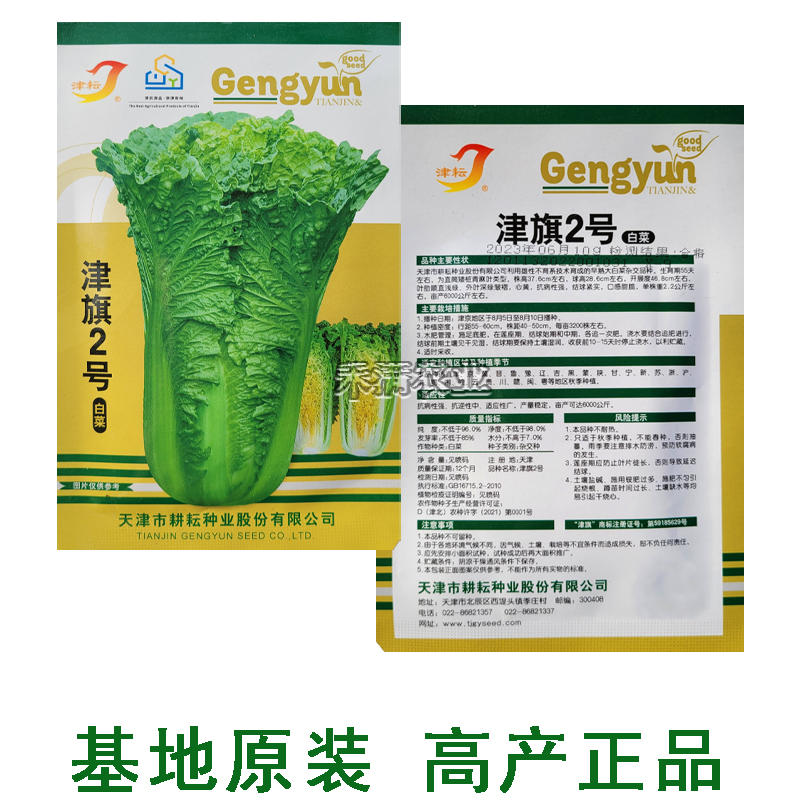 天津大青麻叶种子绿白菜种籽高个竹筒白菜种籽四季蔬菜种孑易