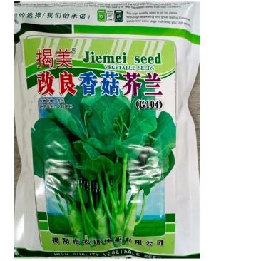改良香菇芥兰种子芥蓝菜种子广东潮汕芥兰菜种子四季种