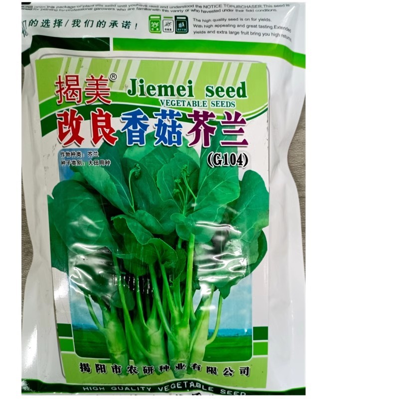 改良香菇芥兰种子芥蓝菜种子广东潮汕芥兰菜种子四季种