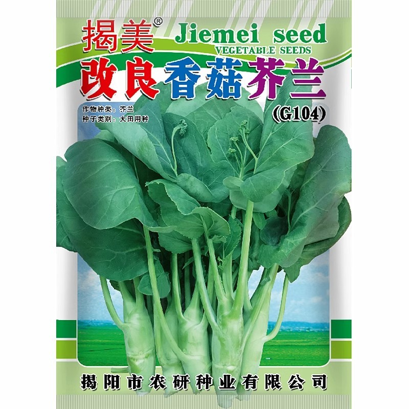 改良香菇芥兰种子芥蓝菜种子广东潮汕芥兰菜种子四季种