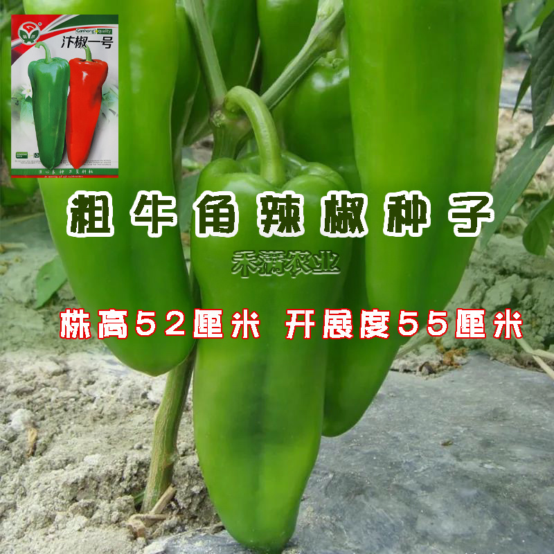 汴椒一号种籽牛角椒种子早熟辣椒高产抗病四季蔬菜大田种孑
