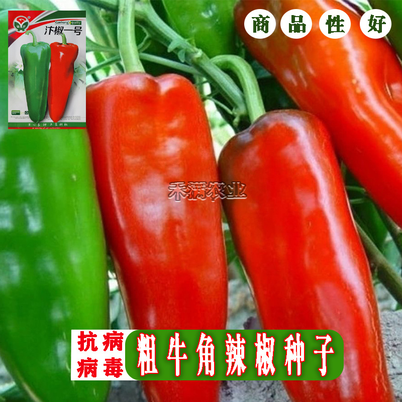 汴椒一号种籽牛角椒种子早熟辣椒高产抗病四季蔬菜大田种孑