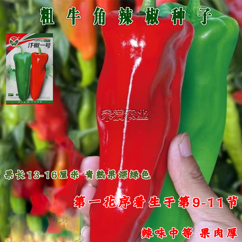 汴椒一号种籽牛角椒种子早熟辣椒高产抗病四季蔬菜大田种孑