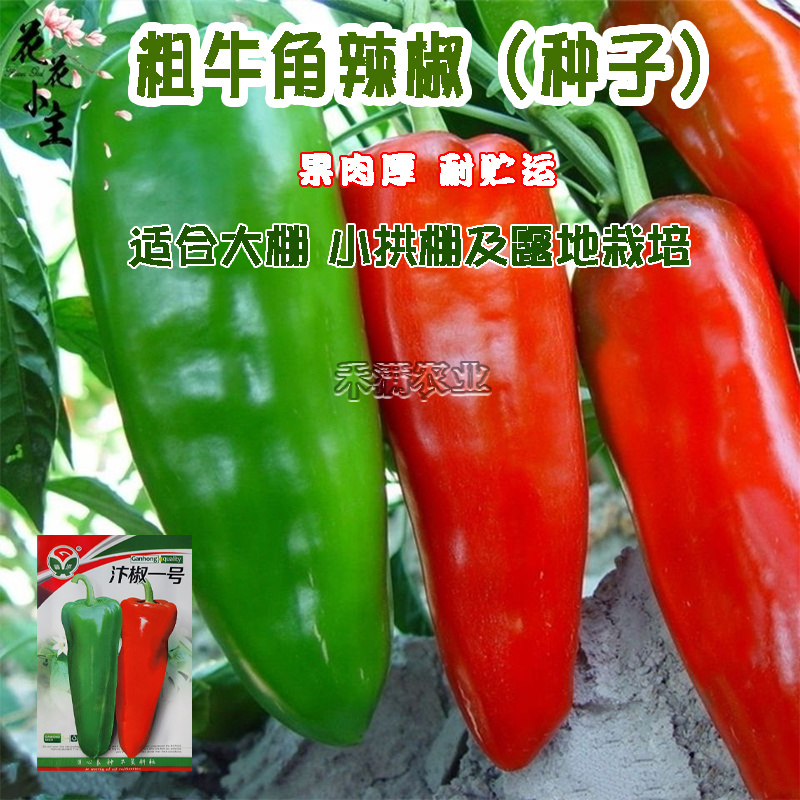 汴椒一号种籽牛角椒种子早熟辣椒高产抗病四季蔬菜大田种孑