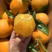 【精品】正宗赣南脐橙新鲜赣州橙子产地直发量大从优