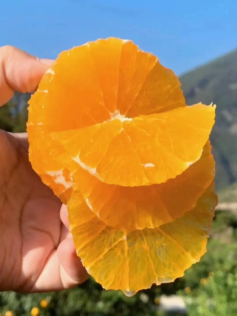 【精品】正宗赣南脐橙新鲜赣州橙子产地直发量大从优