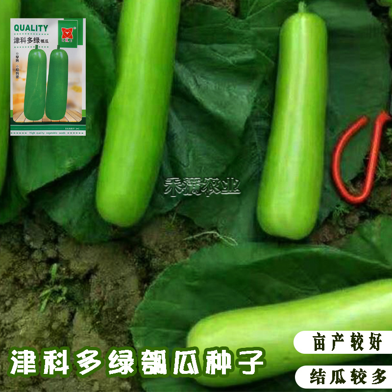 津科多绿瓠瓜种子春栽早熟亮绿瓠瓜籽肉厚香浓高产四季蔬菜