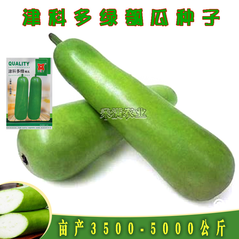 津科多绿瓠瓜种子春栽早熟亮绿瓠瓜籽肉厚香浓高产四季蔬菜