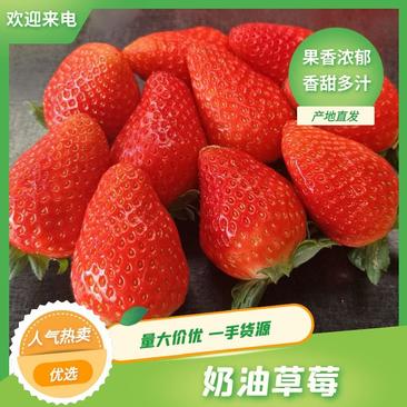 【优选】奶油草莓大量上市品质保证价格优惠欢迎来电咨询