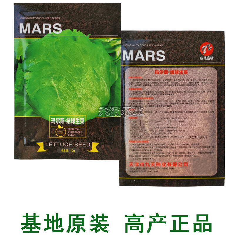 特色蔬菜籽意大利紫叶生菜种子美国速生结球生菜种籽四季种植