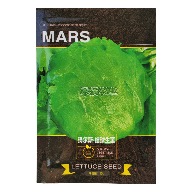 特色蔬菜籽意大利紫叶生菜种子美国速生结球生菜种籽四季种植