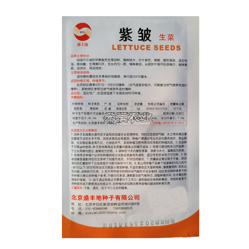 特色蔬菜籽意大利紫叶生菜种子美国速生结球生菜种籽四季种植