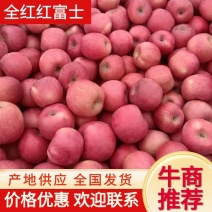 【推荐】栖霞红富士全红果山东红富士苹果可视频看货质量好