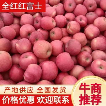 【推荐】栖霞红富士全红果山东红富士苹果可视频看货质量好