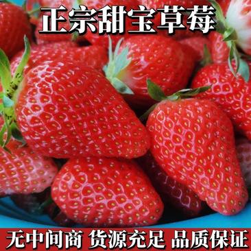 【草莓】正宗甜宝草莓现摘现发对接各大市场电商商超