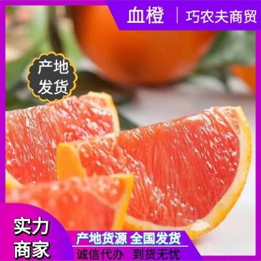 秭归脐橙橙子血橙红肉脐橙甜橙子湖北橙子产地直供一手货源