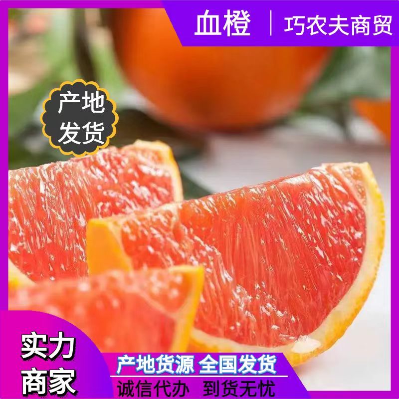 秭归脐橙橙子血橙红肉脐橙甜橙子湖北橙子产地直供一手货源