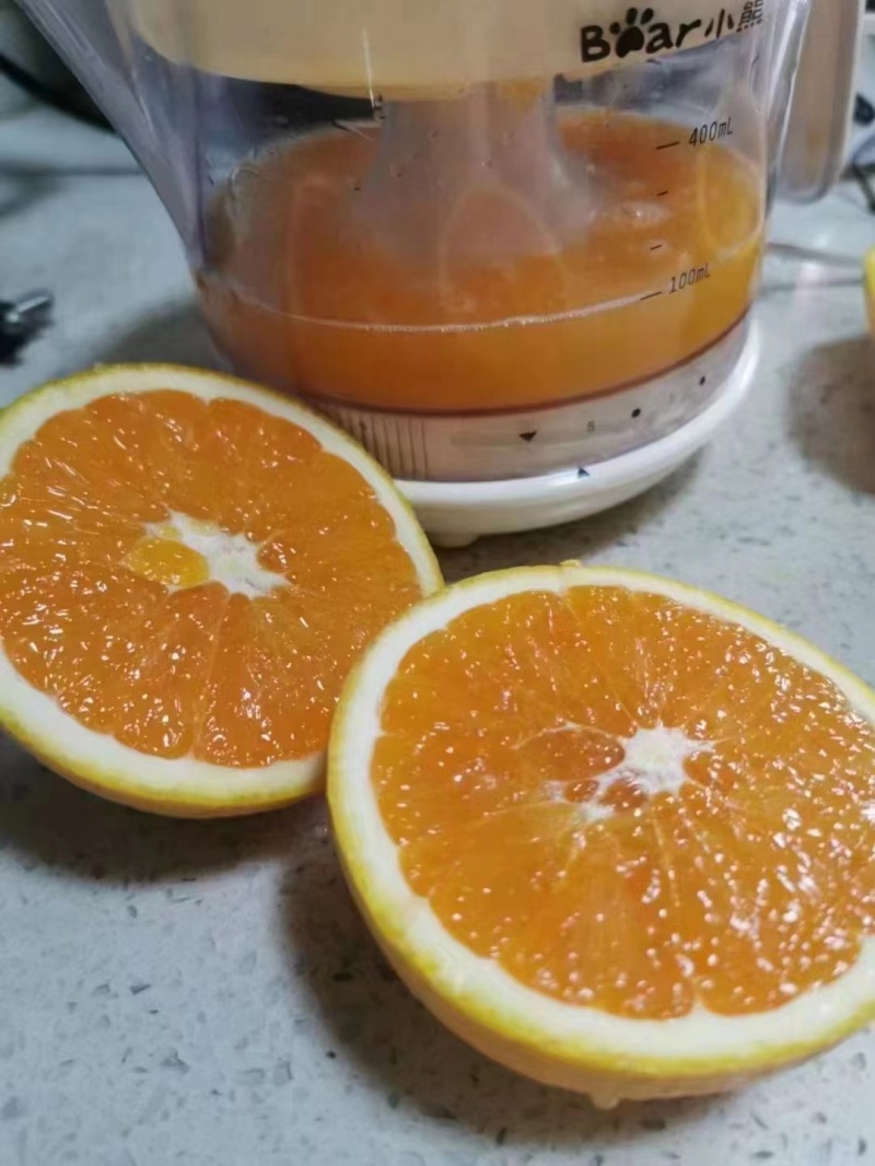 重庆脐橙皮薄多汁一手货源产地直发品质保证量大从优欢迎咨询