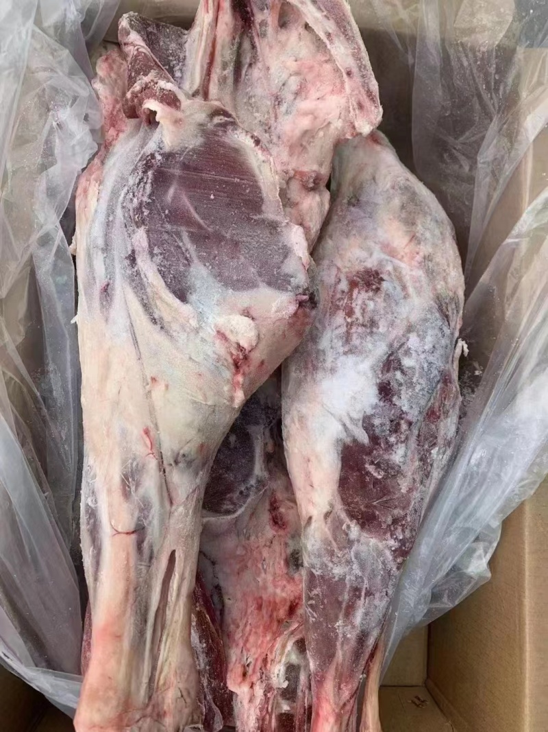河间精品羊后腿产地直发，保质保量，欢迎老板选购