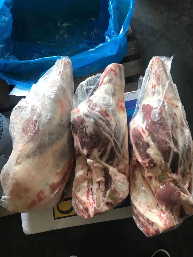 河间精品羊后腿产地直发，保质保量，欢迎老板选购
