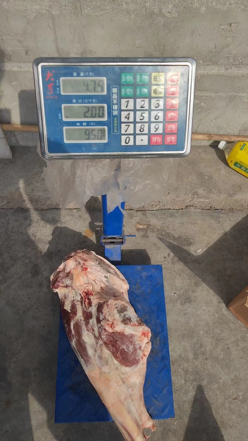 河间精品羊后腿产地直发，保质保量，欢迎老板选购
