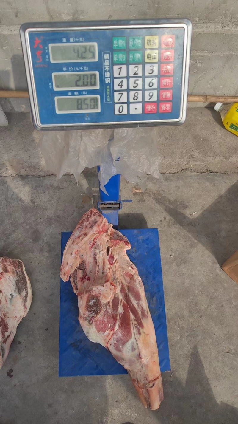 河间精品羊后腿产地直发，保质保量，欢迎老板选购