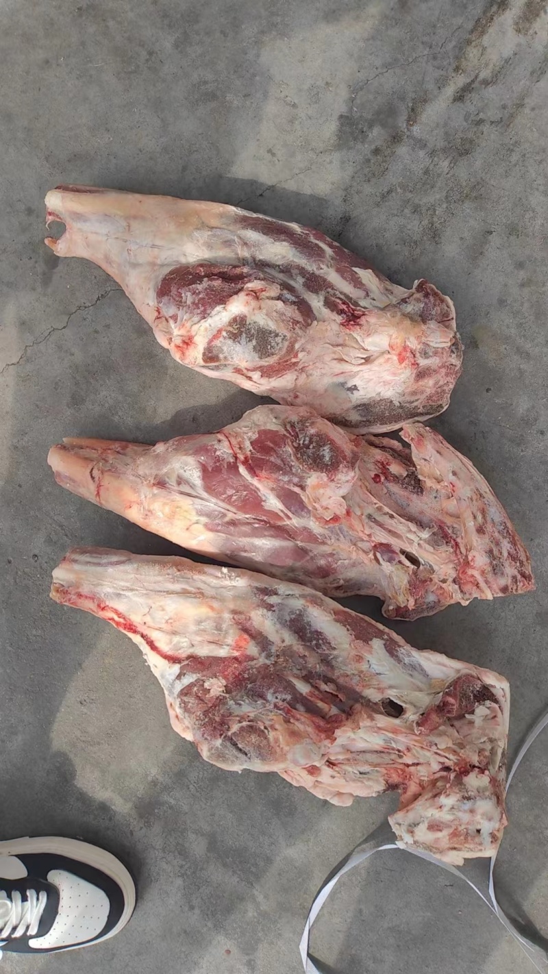 河间精品羊后腿产地直发，保质保量，欢迎老板选购