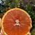 【包邮】赣南血橙江西红肉脐橙批发零售一件代发橙子