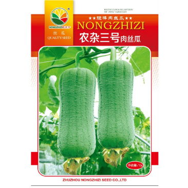 肉丝瓜种子短棒皱皮耐热中熟农杂三号春夏大田种植
