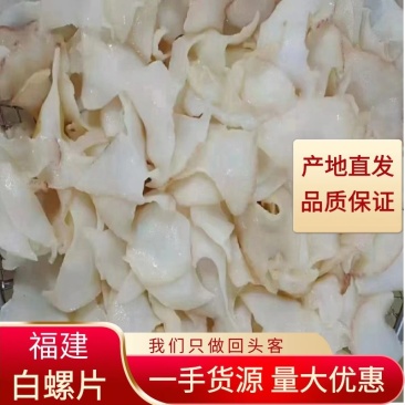 【精选】优质供货电商，白螺片，福建福州，货源充足，价格优
