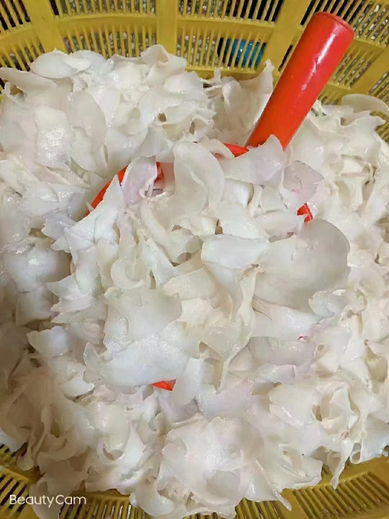 【精选】优质供货电商，白螺片，福建福州，货源充足，价格优