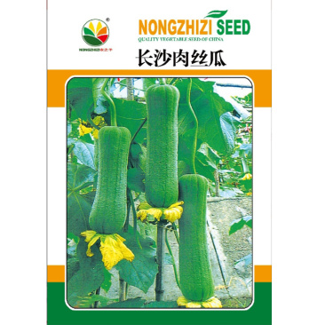早熟短棒肉丝瓜种子耐热长沙肉丝瓜大田用种
