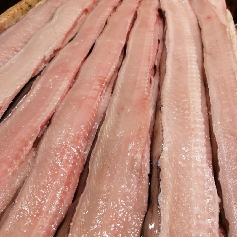 福建鳗鱼肉营养丰富肉质鲜美基地直发一手货源量大从优