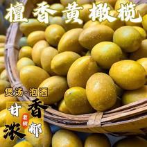 广东揭阳橄榄田榄一手货源价格稳定长期全国可稳定供