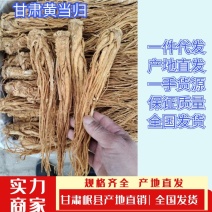 当归水冼黄、一手货源、有需要香归的老板前来选购