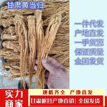 当归水冼黄、一手货源、有需要香归的老板前来选购