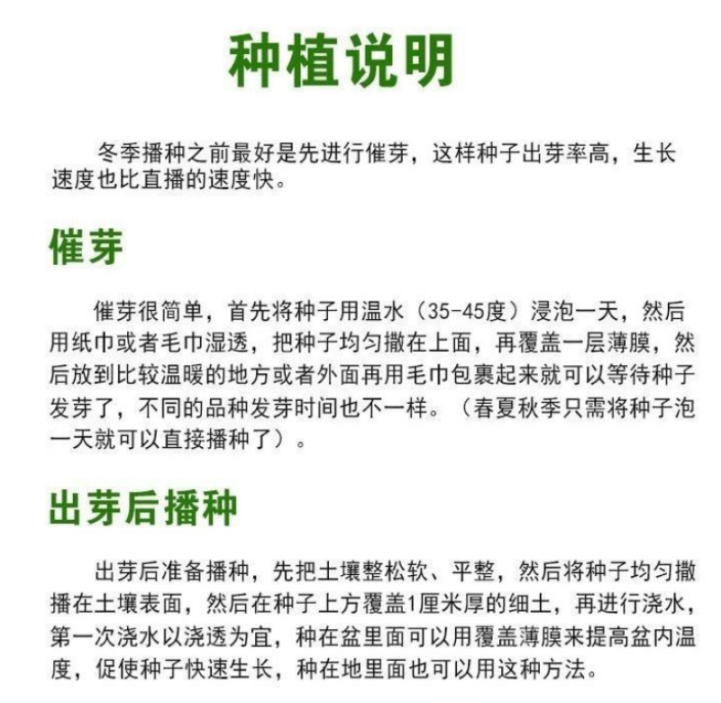 圆白萝卜种子春秋四季蔬菜种籽韩晶春长白萝卜特大超甜水果萝