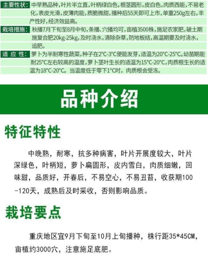 圆白萝卜种子春秋四季蔬菜种籽韩晶春长白萝卜特大超甜水果萝