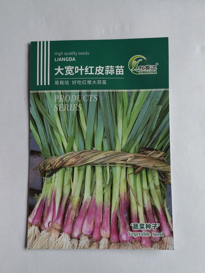 大宽叶红皮蒜苗种子易栽培耐热耐寒病虫害少耐贮运优质良种