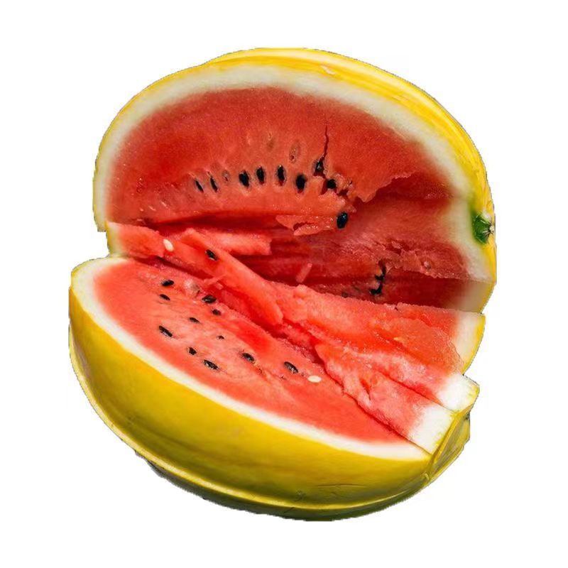 金皇后黄皮红壤西瓜种子瓜香四溢皮薄多汁口感沙脆易坐果