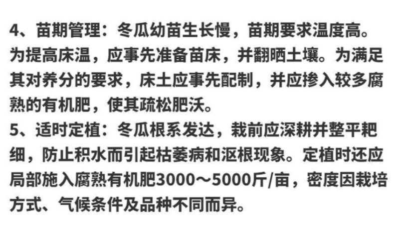 广东黑皮大冬瓜种子巨型长款冬瓜籽蔬菜种子春秋四季盆栽蔬菜